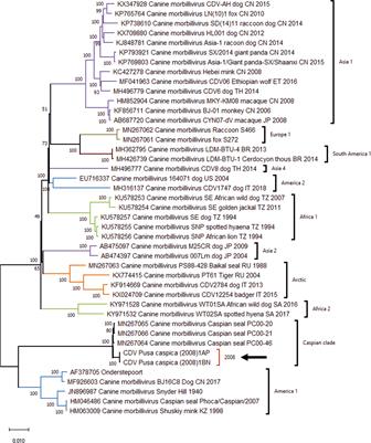 Exposure of wild Caspian seals (Pusa caspica) to parasites, bacterial and viral pathogens, evaluated via molecular and serological assays